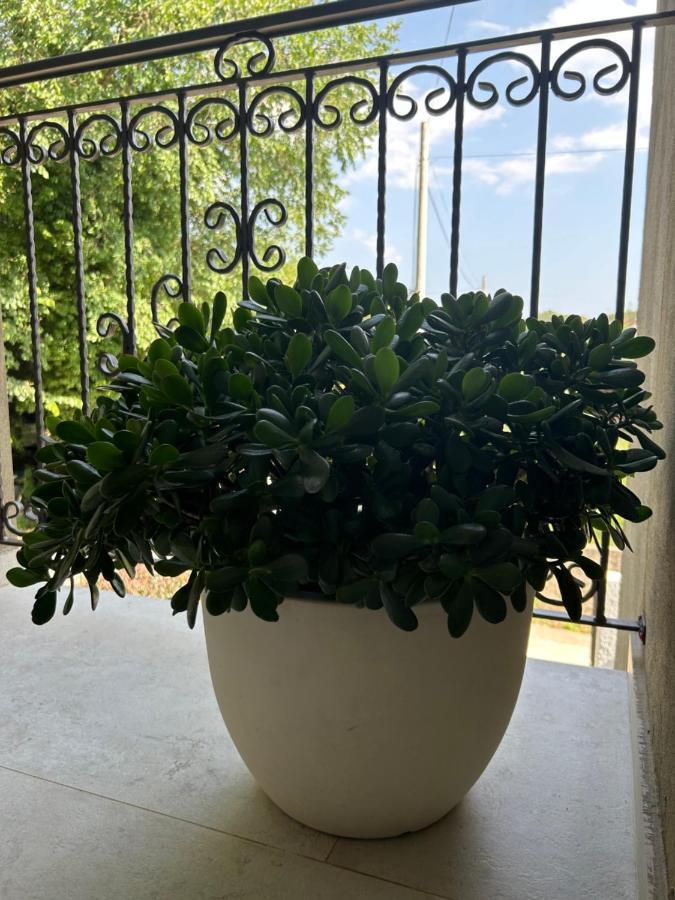 Sunrise Apartment Kotor Exterior foto